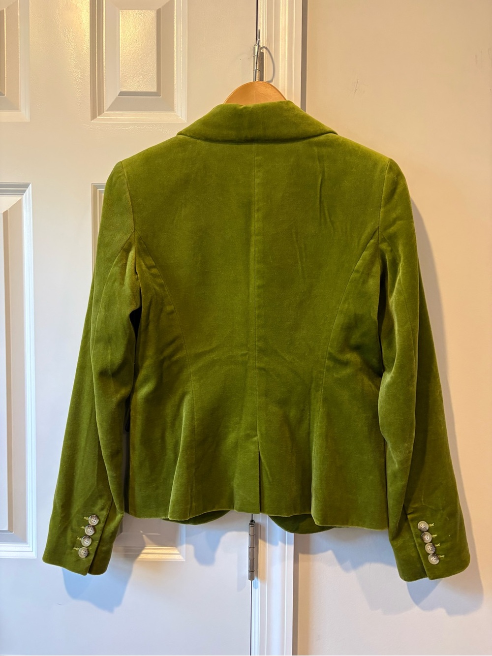 Chaiken Moss Green Velvet Blazer - Picture 5 of 12